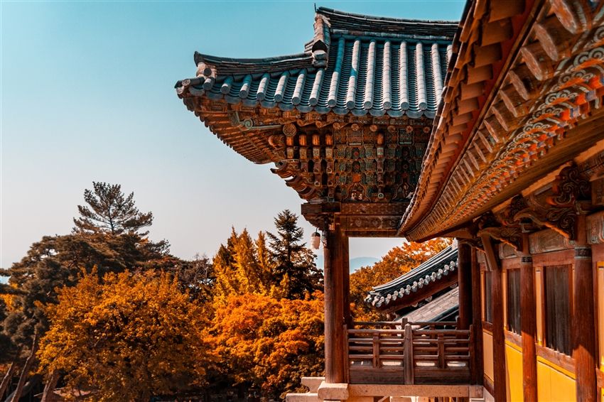 釜山庆州赏枫｜升级五星.红流洞溪谷.金刚缆车枫红.古都庆州赏枫.天空胶囊列车.豪华游艇(彩妆)五日