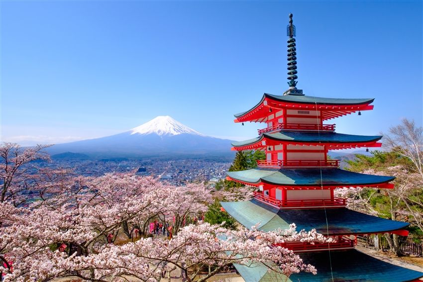 【1人成团】日本富士山一日游｜河口湖游览船天晴号・新仓山浅间公园・日川钟表店・忍野八海・大石公园｜东京银座出发