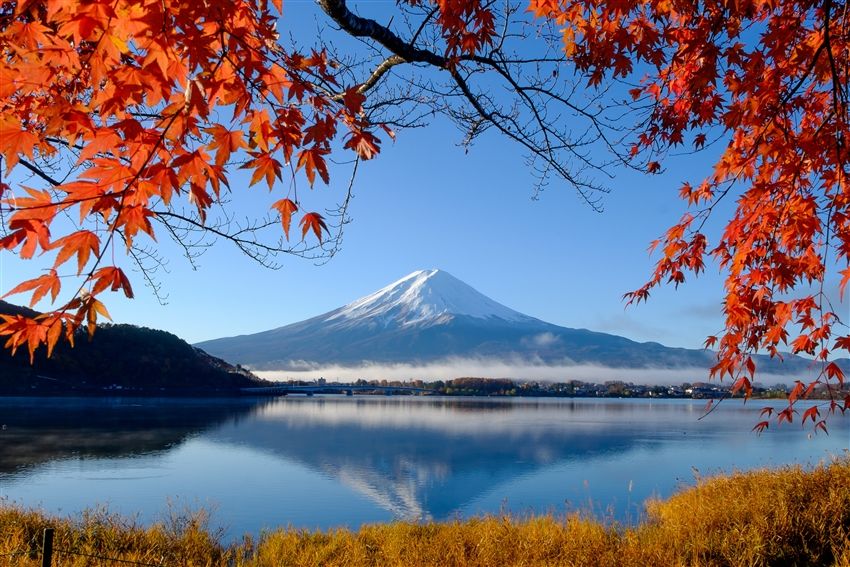 三零楓紅東京|世界遺產日光.偕樂園.伊香保.輕井澤.箱根富士五湖.西湖里根場.三島大橋.關東五大溫泉8日