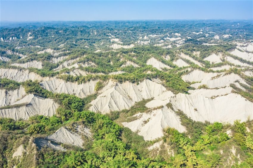 经典东部环岛｜花赏四季~青山农场·伯朗大道骑迹·阿美原民体验·太平洋岸赏下午茶·蓝皮解忧列车3日｜